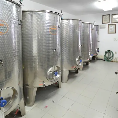 Apartment Vodnjan 1 * וודניאן