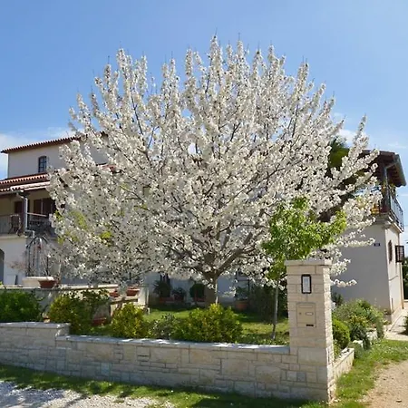 דירה Apartment Vodnjan 1 *